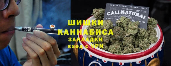 PSILOCYBIN Гатчина