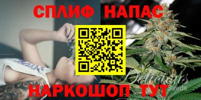 ПСИЛОЦИБИНОВЫЕ ГРИБЫ Кимры