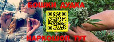 трава Кингисепп