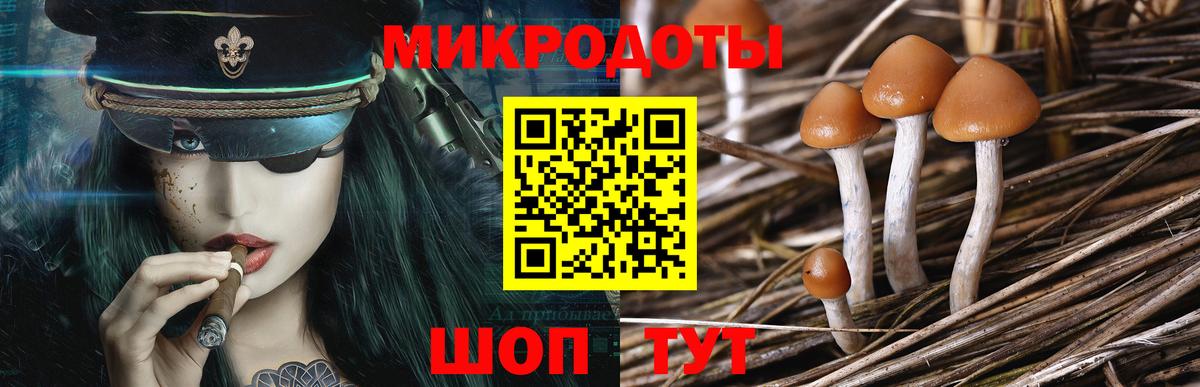 Лабытнанги  Псилоцибиновые грибы прущие грибы  Вход с VPN 